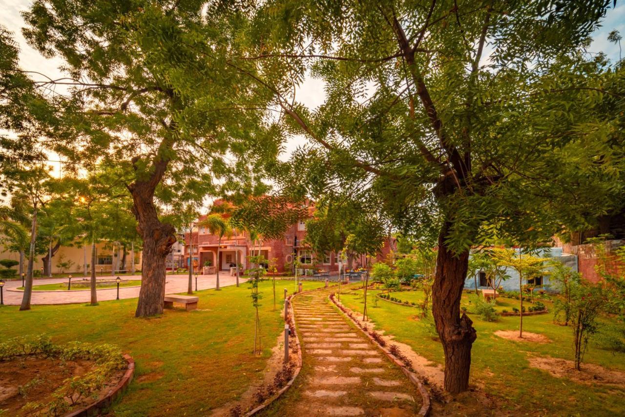 Tree Of Life Bhadrajun House, Jodhpur Hotel Jodhpur  Exterior foto